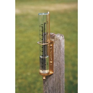 Delite Rain Gauge Ongelakt Messing